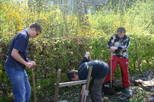 Basti, Marcel und Chris bei Arbeiten an ihren Beeten