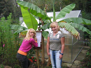 Samy und Paulina an der Bananenstaude